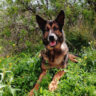 Zeus
