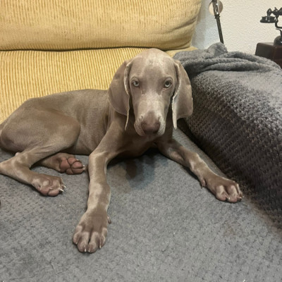 Walter