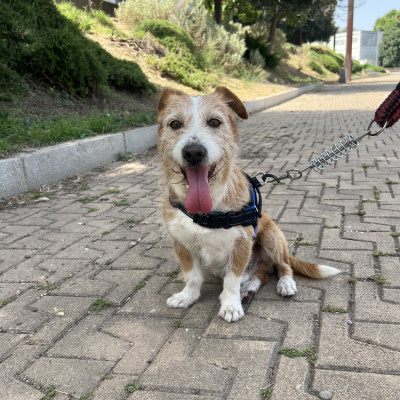 LUKI