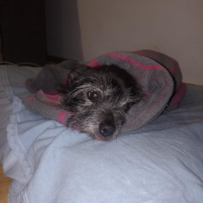 MORITA