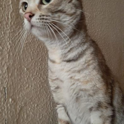 Foto de Kinki