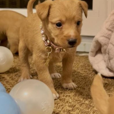 Foto de Gaia Sweetie