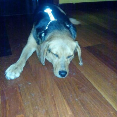 Foto de Sherlock Holmes