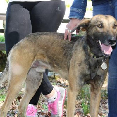 Foto de SCOOBY