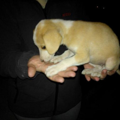 Foto de NINFA