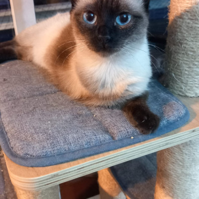 Foto de Mapi