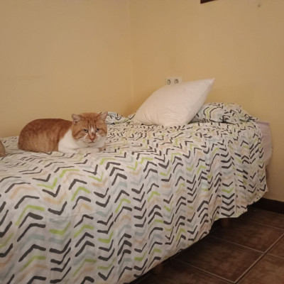 Rabito Ces Mondariz Balneario