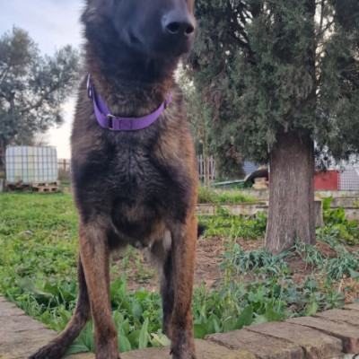 Zuri
