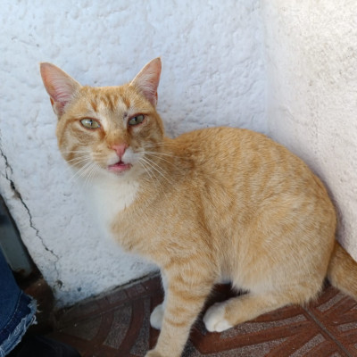 Foto de Bartolito