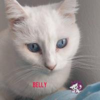 Foto de Belly