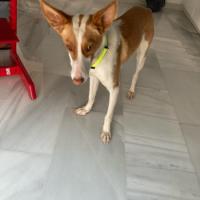 Foto de Frida May