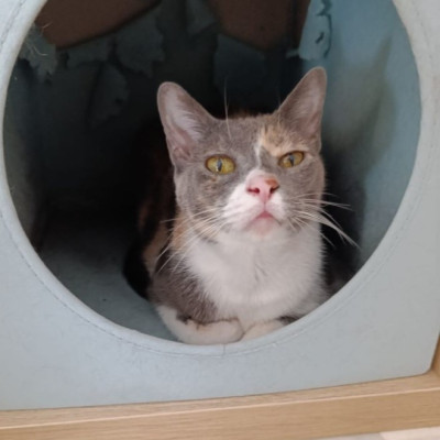 Foto de Juanita