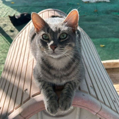 Eki