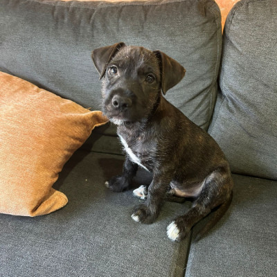 Foto de Camilo