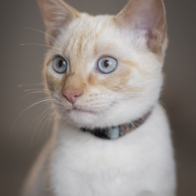 CASO URGENTE - SENDA