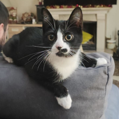 CASO URGENTE - SACHI